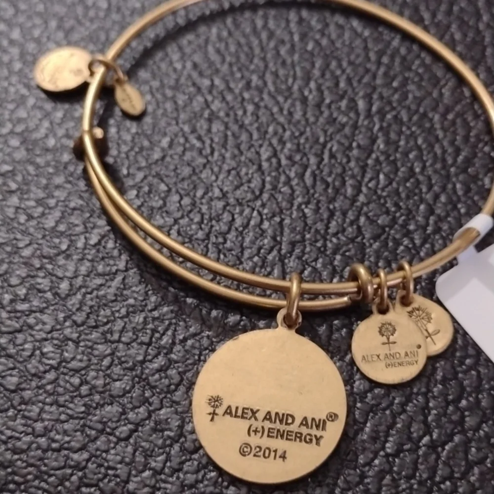 Alex and Ani Gold Charm Bangle Bracelet Initial I Letter I New Old Stock 2014 - Picture 3 of 3